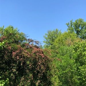 Meet your Posher, Jillian